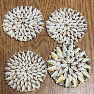 Shell Coasters Set of 4